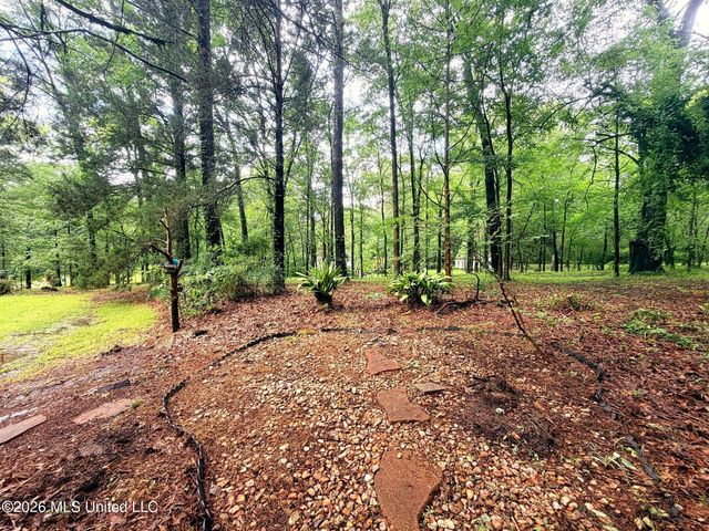 320 Springhill Drive, Terry, MS 39170
