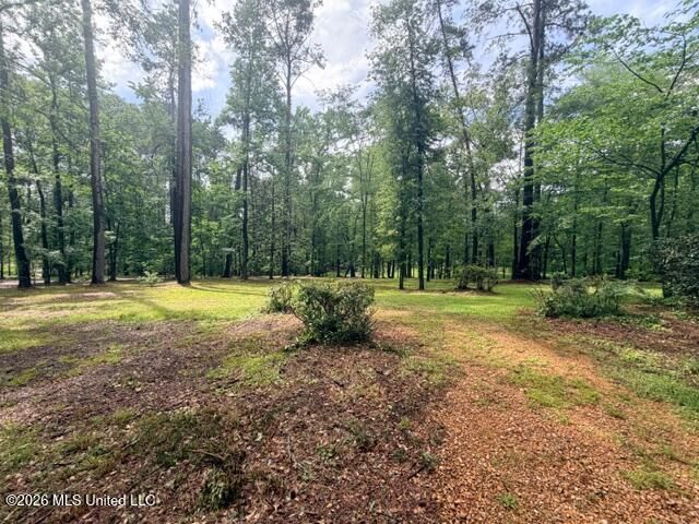 320 Springhill Drive, Terry, MS 39170
