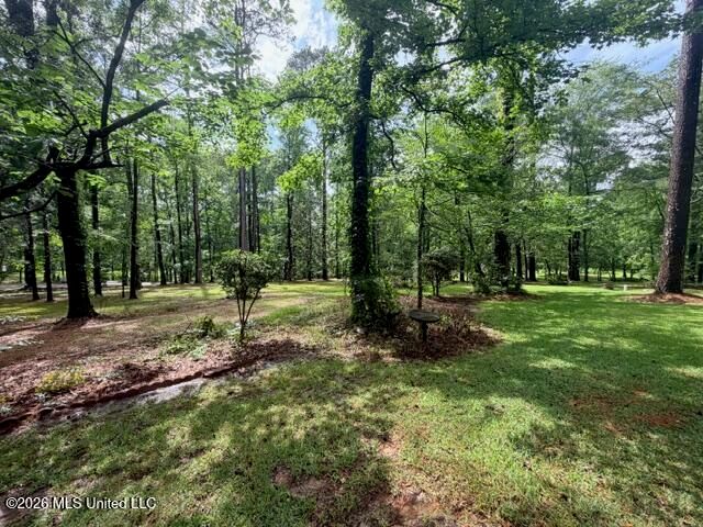 320 Springhill Drive, Terry, MS 39170