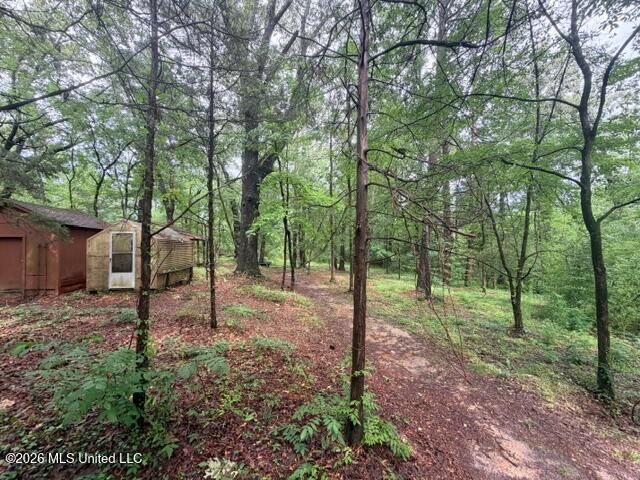 320 Springhill Drive, Terry, MS 39170