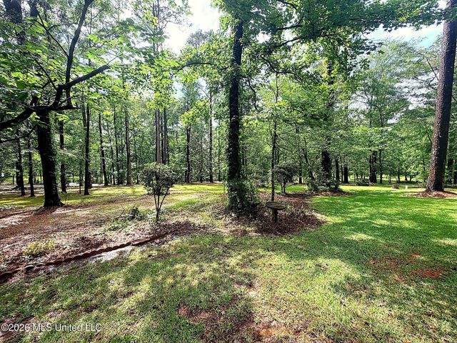 320 Springhill Drive, Terry, MS 39170