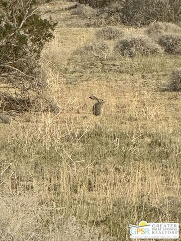 0 Canyon Drive, Desert Hot Springs, CA 92241