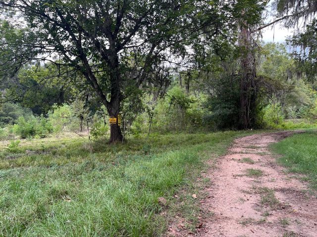 0 N Francies, Shepherd, TX 77371