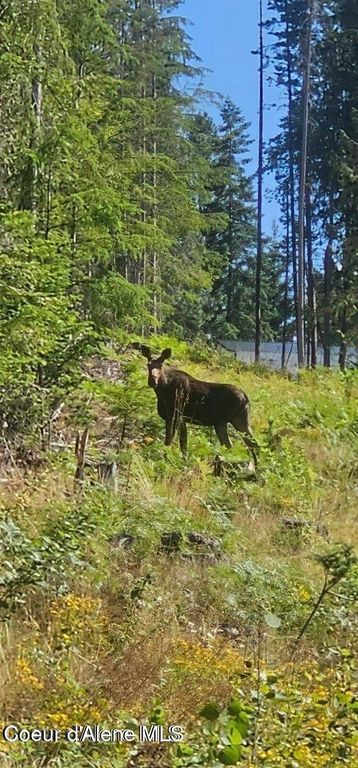 Lot 2 Of the Replat of Lot 2 Blk 1, Kingston, ID 83839 photo 4