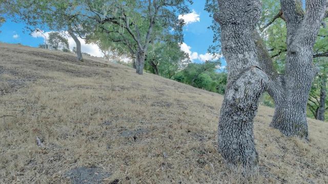 9250 Mahogany, Gilroy, CA 95020