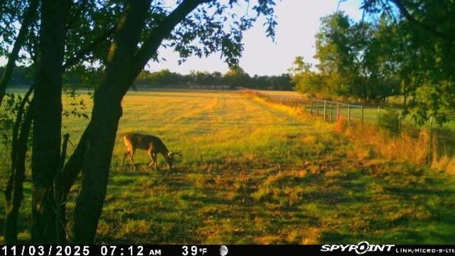 907 Welch School Road, Collinsville, TX 76233