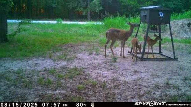 907 Welch School Road, Collinsville, TX 76233