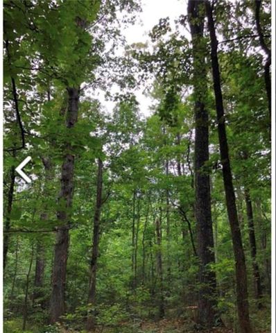 0 Hall Road, South Fulton, GA 30213