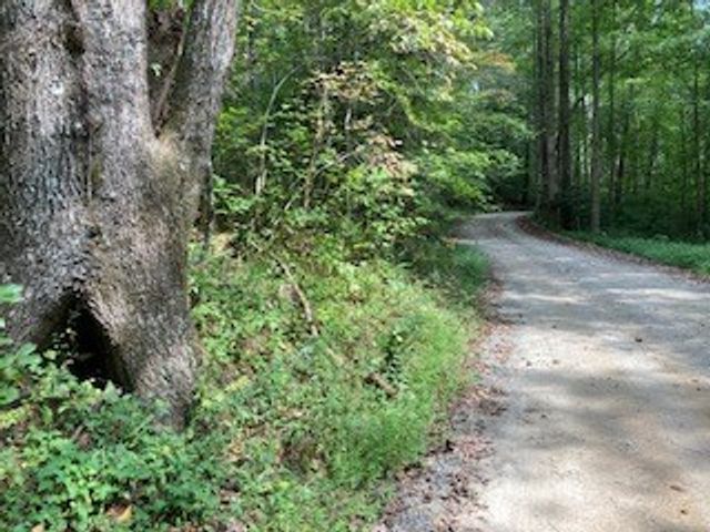 Lot 52 Llama Lane, Ellijay, GA 30540