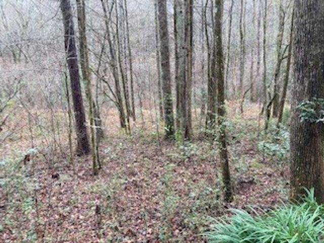Lot 52 Llama Lane, Ellijay, GA 30540