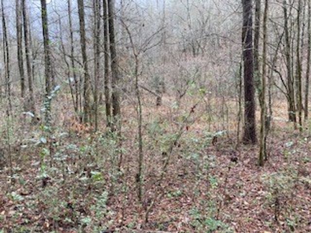Lot 52 Llama Lane, Ellijay, GA 30540