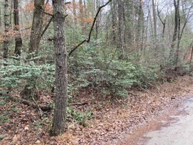 Lot 52 Llama Lane, Ellijay, GA 30540