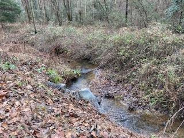 Lot 52 Llama Lane, Ellijay, GA 30540