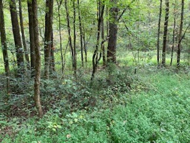 Lot 52 Llama Lane, Ellijay, GA 30540