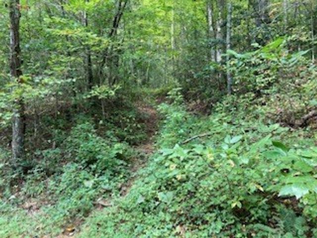 Lot 52 Llama Lane, Ellijay, GA 30540
