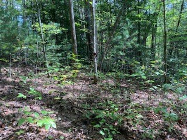 Lot 52 Llama Lane, Ellijay, GA 30540