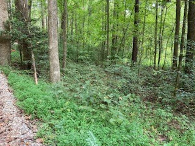 Lot 52 Llama Lane, Ellijay, GA 30540