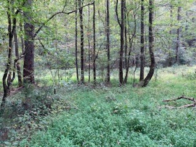 Lot 52 Llama Lane, Ellijay, GA 30540
