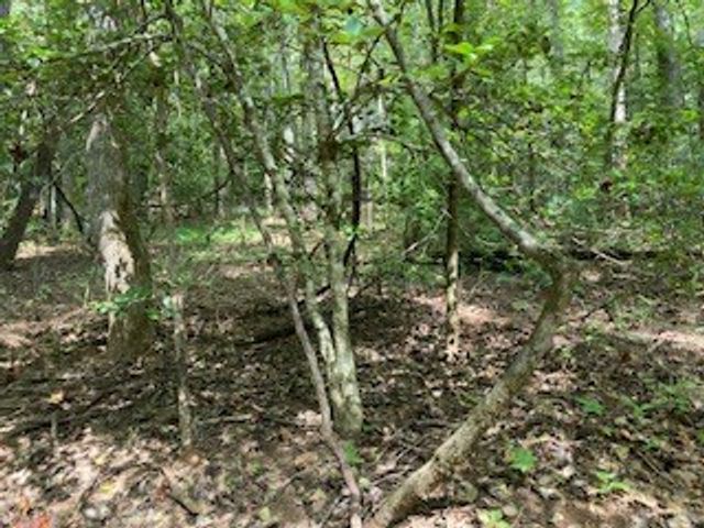 Lot 52 Llama Lane, Ellijay, GA 30540