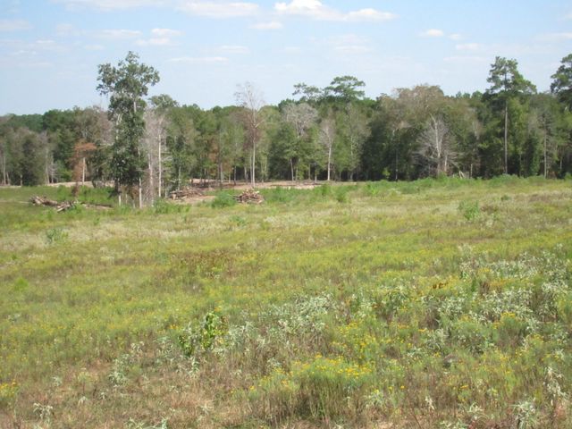 000 21 Fm256 N, Woodville, TX 75979