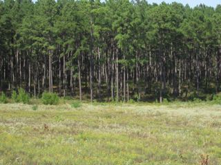 000 21 Fm256 N, Woodville, TX 75979