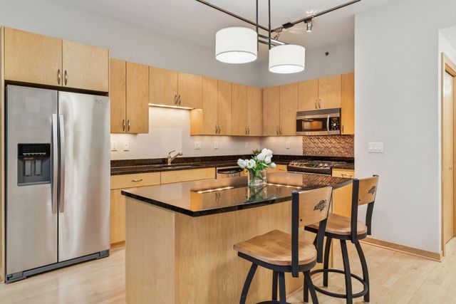 215 10th Avenue S 533, Minneapolis, MN 55415