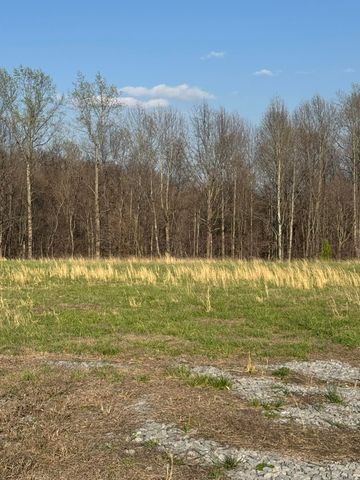 3136 Parks Ridge Road, Russell Springs, KY 42642