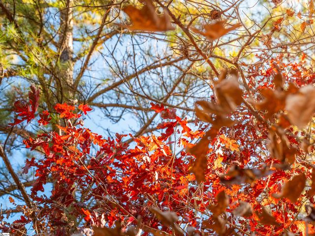 05 Mill Pine Road, Liberty, SC 29657