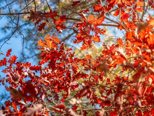 05 Mill Pine Road, Liberty, SC 29657