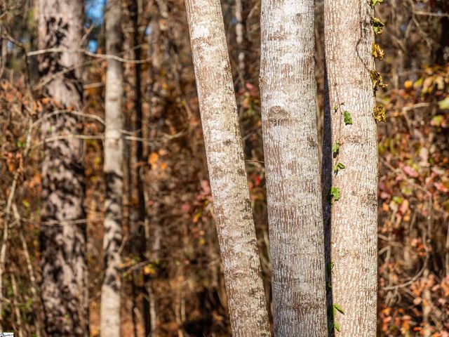 05 Mill Pine Road, Liberty, SC 29657