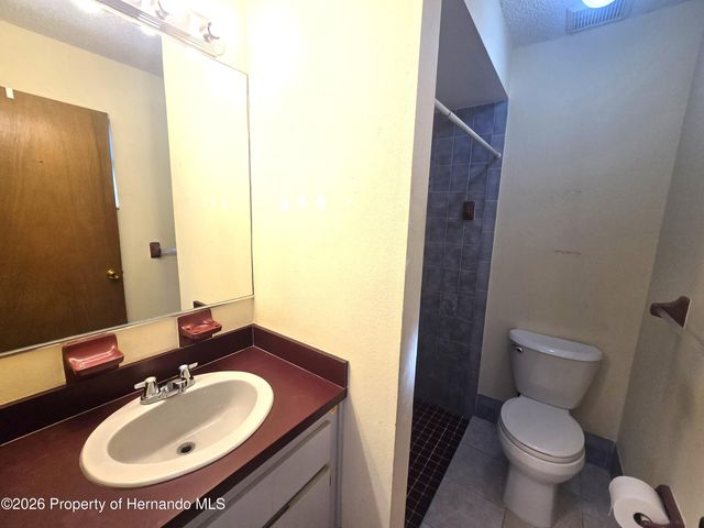 13436 White Plains Street, Spring Hill, FL 34609