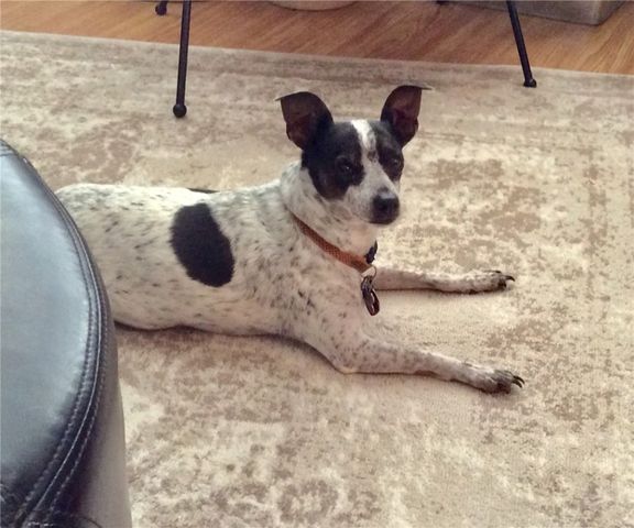 8745 100th Court, Vero Beach, FL 32967