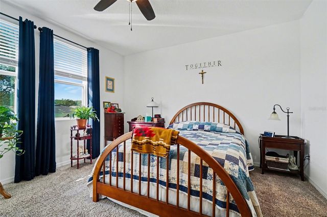 29385 CASPIAN STREET, Leesburg, FL 34748