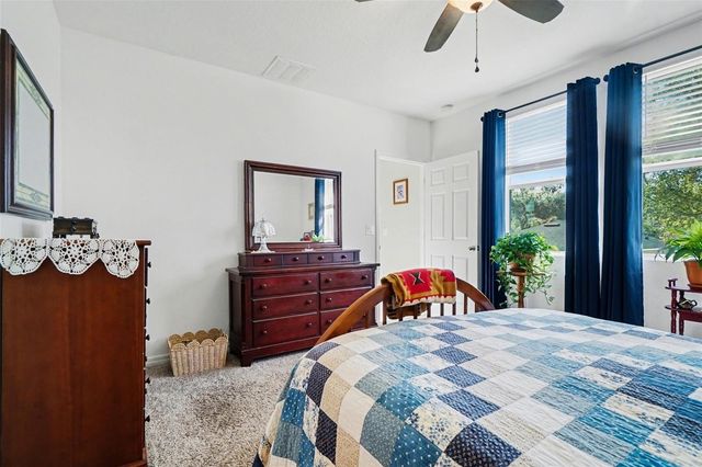 29385 CASPIAN STREET, Leesburg, FL 34748