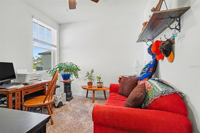 29385 CASPIAN STREET, Leesburg, FL 34748