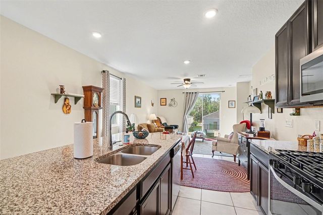 29385 CASPIAN STREET, Leesburg, FL 34748