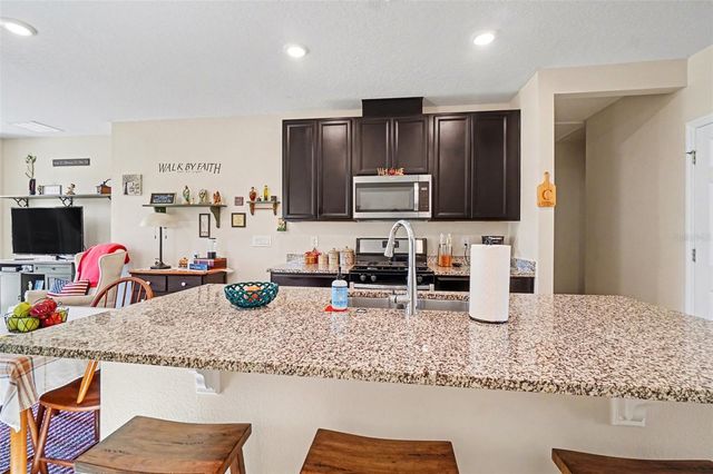 29385 CASPIAN STREET, Leesburg, FL 34748