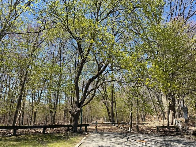 16 Fredette Rd, Newton, MA 02459