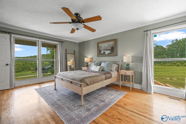 197 Cryer Cove Road, Somerville, AL 35670