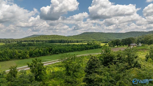 197 Cryer Cove Road, Somerville, AL 35670