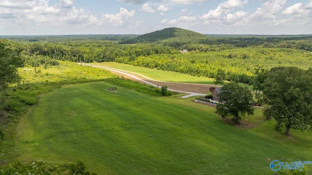 197 Cryer Cove Road, Somerville, AL 35670