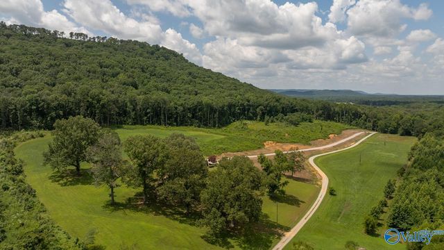 197 Cryer Cove Road, Somerville, AL 35670