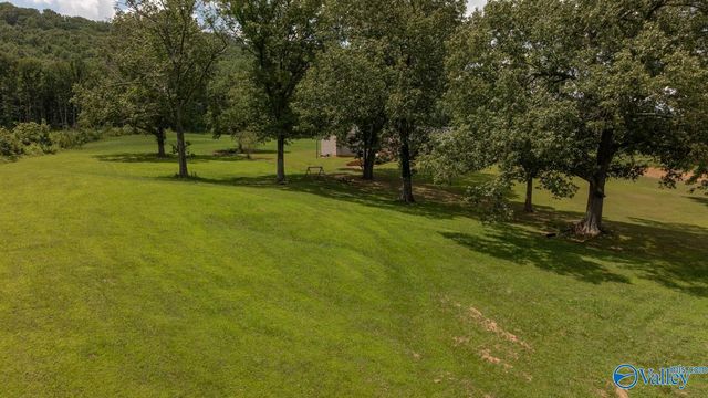 197 Cryer Cove Road, Somerville, AL 35670