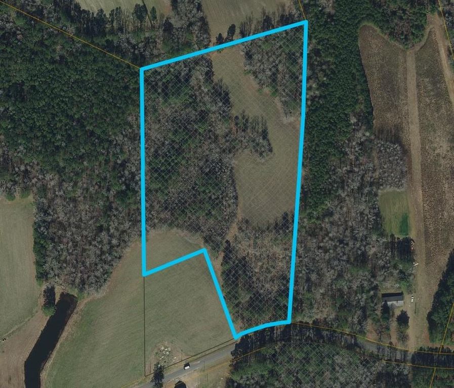 TBD Long Branch Swamp Rd., Nichols, SC 29581 — exterior