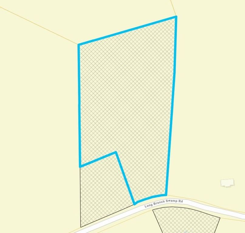 TBD Long Branch Swamp Rd., Nichols, SC 29581 — photo 2