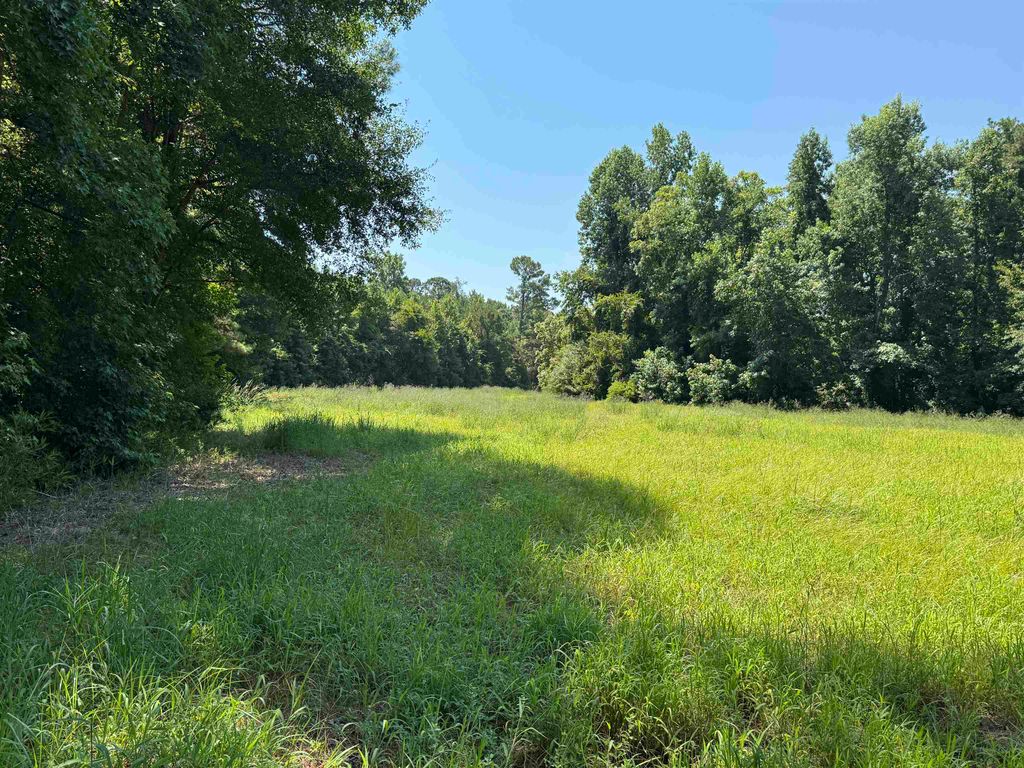 TBD Long Branch Swamp Rd., Nichols, SC 29581 — photo 3