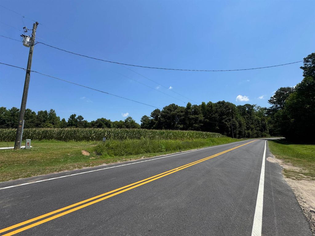 TBD Long Branch Swamp Rd., Nichols, SC 29581 — photo 4
