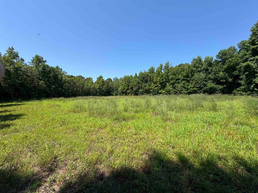 TBD Long Branch Swamp Rd., Nichols, SC 29581 — photo 5
