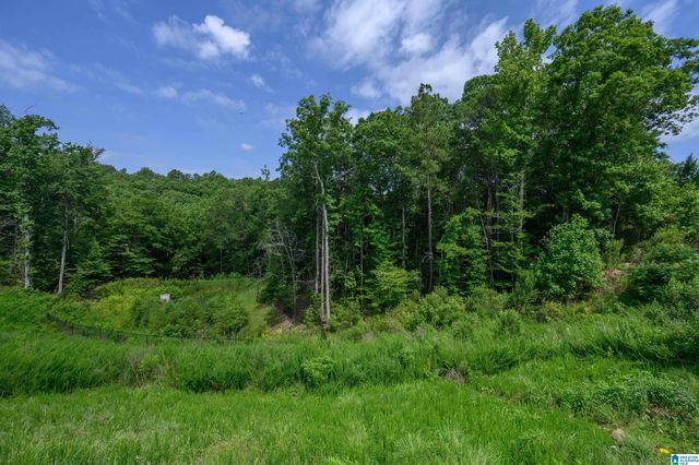 182 BARIMORE BOULEVARD, Helena, AL 35080