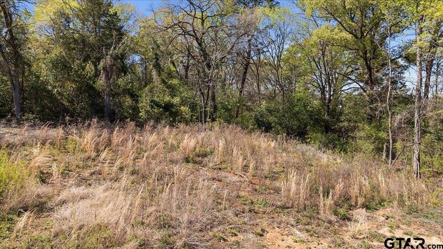 11985 State Highway 64, Tyler, TX 75707